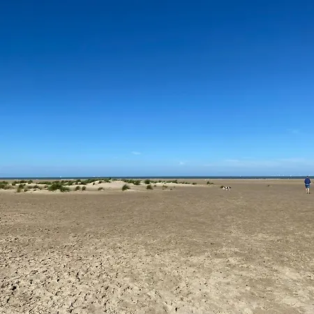 Apartment Residentie Nivaria Zeebrugge, Met 1 Slaapkamer Aan De Jachthaven